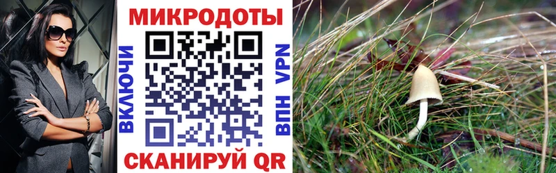 Галлюциногенные грибы мухоморы  Красково 